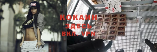 ПСИЛОЦИБИНОВЫЕ ГРИБЫ Бежецк