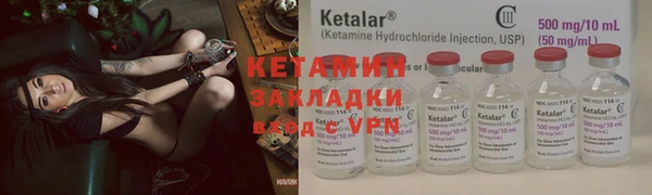 a pvp Дмитровск
