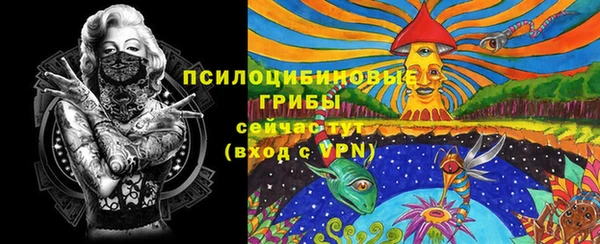 a pvp Дмитровск