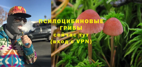 MESCALINE Дмитриев