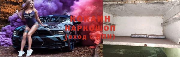 a pvp Дмитровск