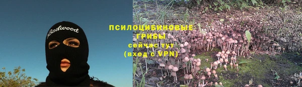 таблы Бикин